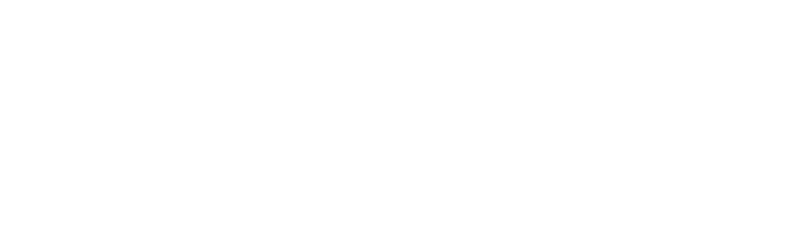 Dublin City Council Logo