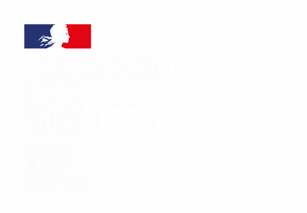 French Embassy in Ireland Logo